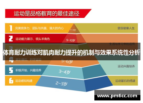 体育耐力训练对肌肉耐力提升的机制与效果系统性分析